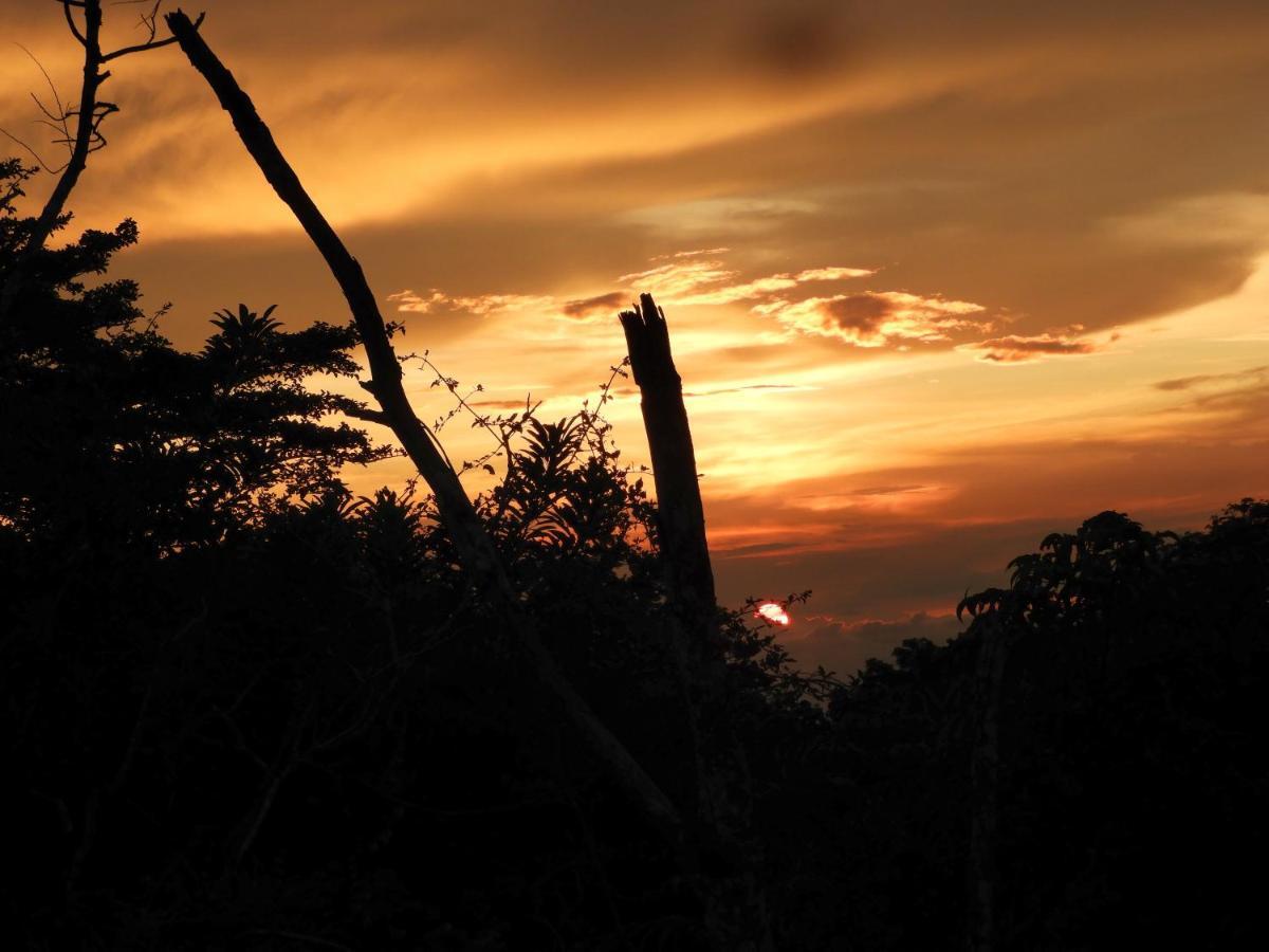 Moon Wonders Vacation House Hotel Monteverde Exterior foto